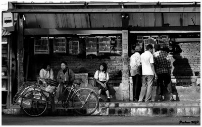 Bus Stop or Birds Shop In BW
